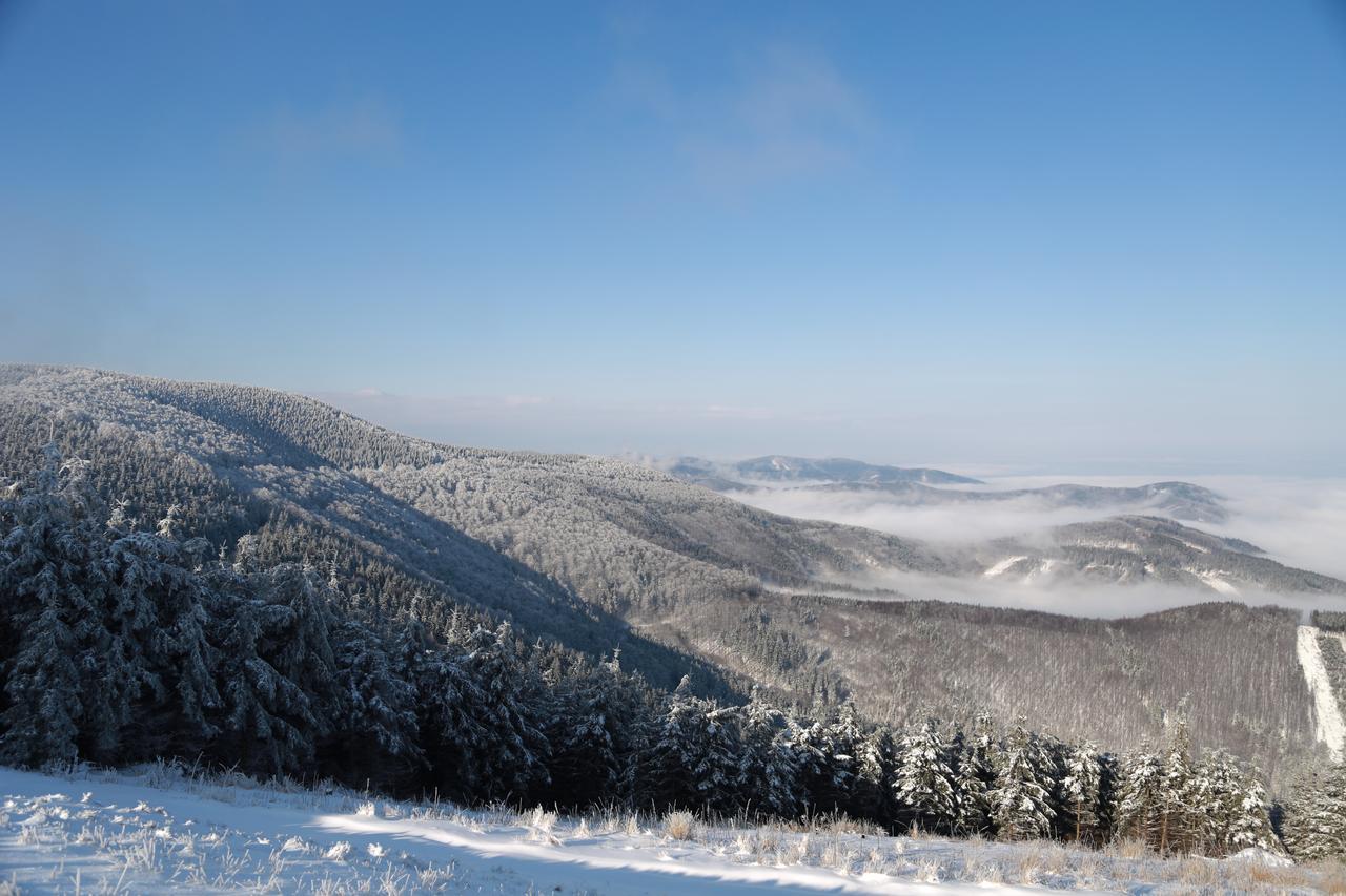Chata Javorovy Vrch Tyra Exterior foto